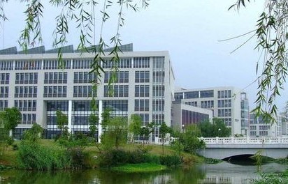 广东专业电子商务的大学