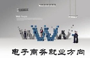 电子商务专业技能有