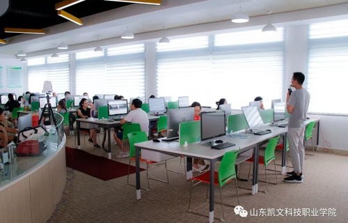 什么是办公电子商务专业