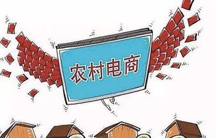考官对电子商务专业问题