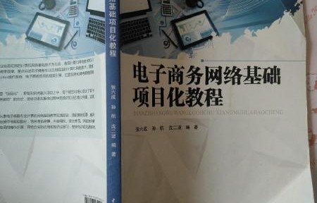电子商务专业的项目经历