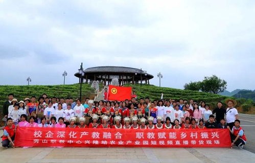 职大有电子商务专业吗