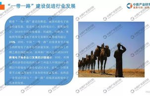 我国电子商务专业的现状