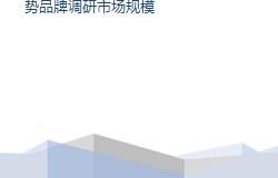 电子商务专业市场调查