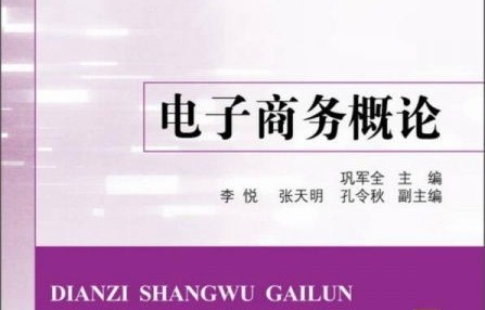 电子商务的专业导论论文