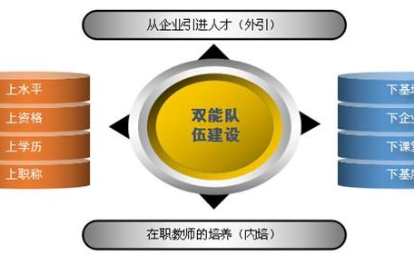 电子商务能插什么专业
