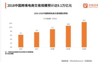 关于电子商务专业的想法