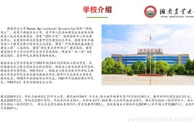 湖南电子商务专业的大专