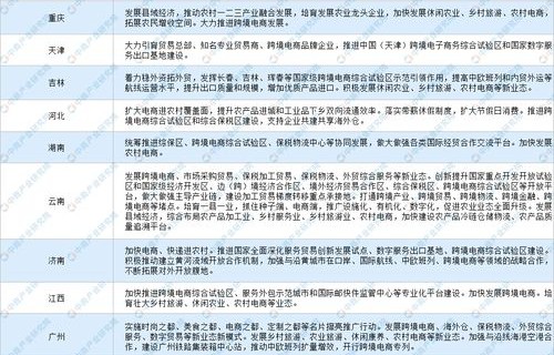 电子商务专业个人定位