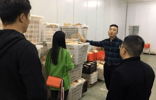肥乡职教中心电子商务专业