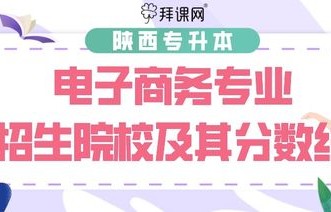 电子商务专升文科专业