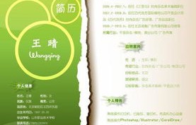 电子商务专业的简历颜色