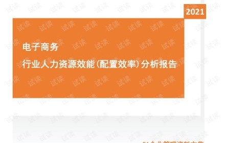 电子商务的专业分析报告