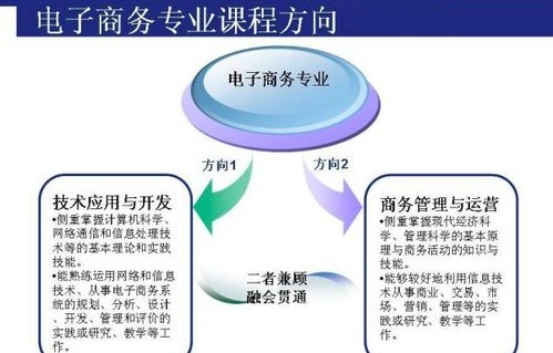 和电子商务有关考研专业