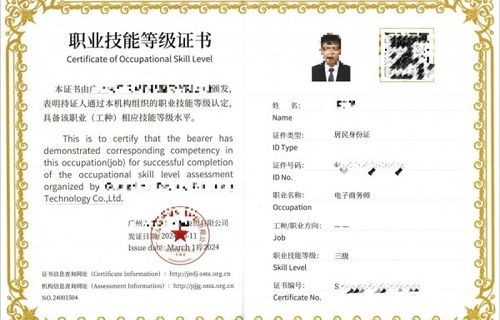 电子商务专业怎么考证书