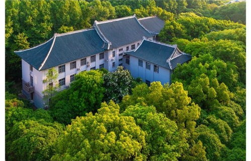 茶山有电子商务专业吗