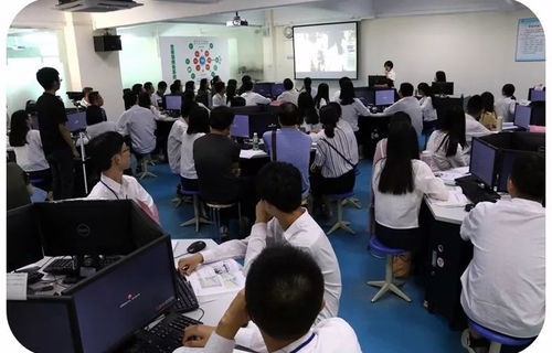 什么是中网电子商务专业