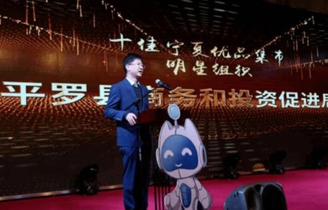 哪些明星是电子商务专业