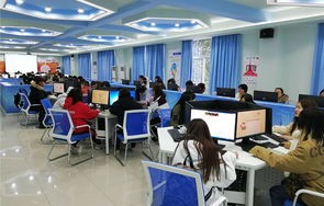 大学专业电子商务师范
