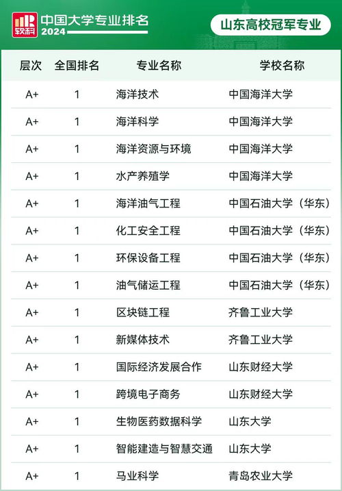 国际电子商务专业排名