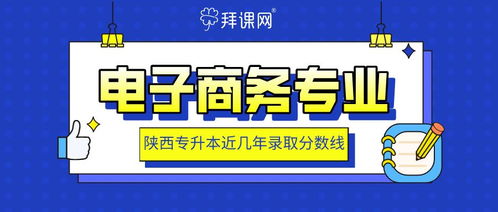 电子商务升本扩展专业