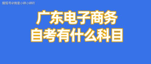 电子商务专业兼职