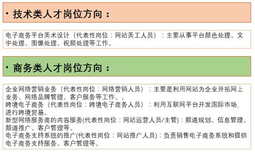 电子商务细分几个专业