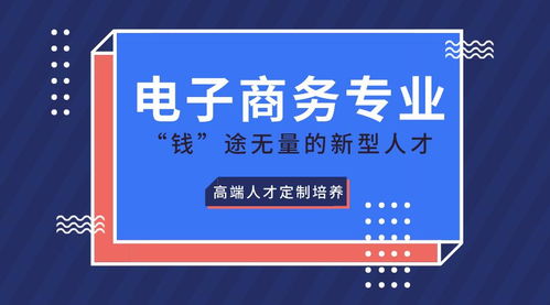 电子商务专业开设情况