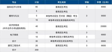 电子商务专业长期计划